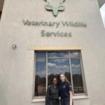 Screenshot 2025-12-01 100856