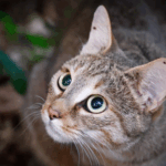 Screenshot 2025-12-01 103504