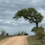 Screenshot 2025-12-01 104343