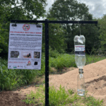 Screenshot 2025-12-01 104349